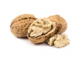 Dried walnuts fruit.