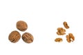 Dried walnuts with kernels on white background and copy space Royalty Free Stock Photo