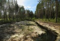 Dried watermeadow the Rortrask Silanger culture reserve in Lapland