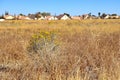 Dried weeds transitioning into newly built homes