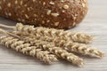 Dried wheat close up Royalty Free Stock Photo