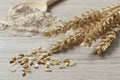 Dried wheat, seeds and flour Royalty Free Stock Photo