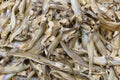 Dried Whisker Sheatfish Royalty Free Stock Photo