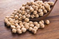 Dried white chickpeas ceci Royalty Free Stock Photo
