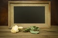 Dried White Rose with Chalk Board Royalty Free Stock Photo