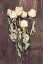 Dried White Roses