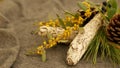 Dried white sage smudge stick, relaxation and aromatherapy. Smudging during psychic occult ceremony, herbal healing, yoga or aura Royalty Free Stock Photo