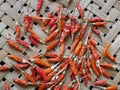 Dried Whole Chili on Bamboo weave texture