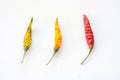 Dried whole colorful chilli isolated on white background.