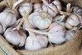 Dried whole garlic in burlap sack in asia Royalty Free Stock Photo