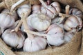 Dried whole garlic in burlap sack in asia Royalty Free Stock Photo