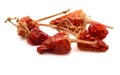 Dried whole paprika chile, paths, top view. Royalty Free Stock Photo