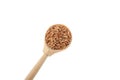 Dried Whole spelt farro in wooden spoon isolated on white background, close-up Royalty Free Stock Photo