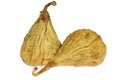 Dried wild figs Royalty Free Stock Photo