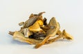 Dried wild mushrooms