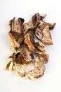 Dried wild organic porcini mushroom Royalty Free Stock Photo