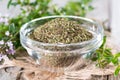 Dried Winter Savory in a bowl Royalty Free Stock Photo