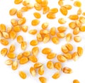 Dried yellow corn kernels on white background. Royalty Free Stock Photo