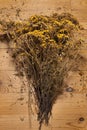 dried yellow flowers tansy