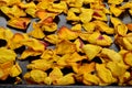 Dried yellow rose petals on a black background Royalty Free Stock Photo