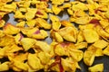 Dried yellow rose petals on a black background Royalty Free Stock Photo