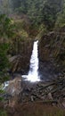 Drift Creek falls, Oregon