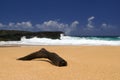 Drift wood on Beach Royalty Free Stock Photo