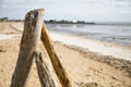 Drift wood on the beach. Royalty Free Stock Photo