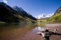 Drift wood at maroon bells Royalty Free Stock Photo