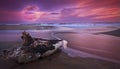 Drift wood at sunset on sandy beach and full moon Royalty Free Stock Photo