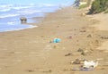 Drifted plastic waste on a beach in the mediterranean pollution of the ocean with microplastics,environment protection