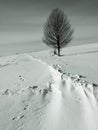 Drifted snow across highway