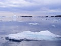 Drifting iceberg chunks and rocky shoreline in Twillingate Harbour