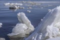 Drifting iceberg floes float on the water. Breaking of the ice on the river in the spring