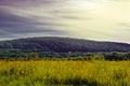 Driftless Region, Baraboo, Wisconsin, Hill & Meadow Royalty Free Stock Photo