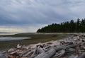 Rebecca Spit beach landscape, Quadra Island BC