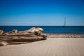 Driftwood in the Baltic Sea Royalty Free Stock Photo