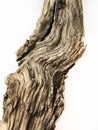 Driftwood bark close up isolated on white