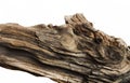 Driftwood bark close up isolated on white Royalty Free Stock Photo
