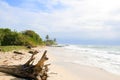 Driftwood beach Corn Island Nicar Royalty Free Stock Photo