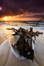 Driftwood on a beach with dramatic waves and sunset