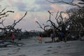 Driftwood Beach, Jekyll Island, GA