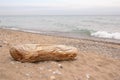 Driftwood on beach, Lake Michigan