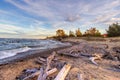 Autumn Driftwood Beach On Lake Superior Royalty Free Stock Photo