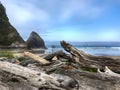 Driftwood on Beach Pacific Coast USA Royalty Free Stock Photo