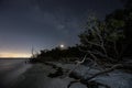 Driftwood on the Beach - Sanibel Lighthouse Beach, Florida Royalty Free Stock Photo