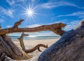 Driftwood on beach on St George Island Florida