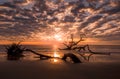 Driftwood Beach Sunrise Clouds Jekyll Island Georgia Royalty Free Stock Photo