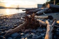 driftwood on the beach at sunset Royalty Free Stock Photo