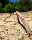 Driftwood deserted near Oak Creek, Sedona Arizona